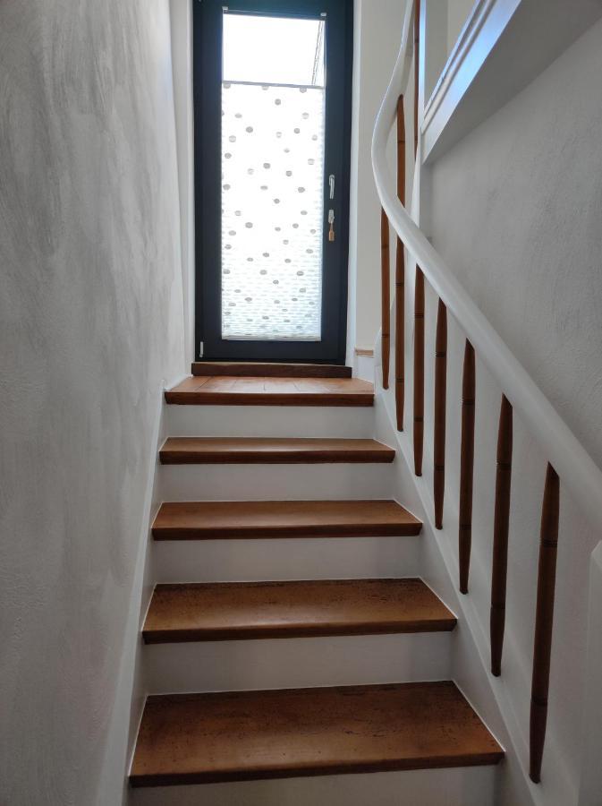 Ferienwohnung Rheinspaziert Dellhofen Exterior foto